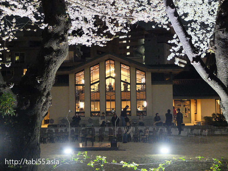 自由学園明日館の桜のライトアップ