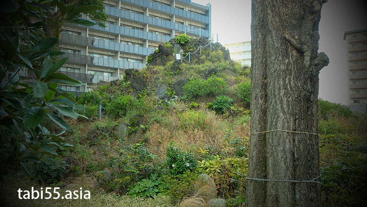 成子天神社の富士塚(東京都新宿区)都庁から徒歩12分のミニ富士山