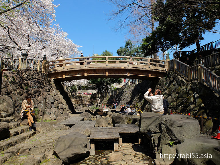 池袋から公共交通機関で30分以内の桜の名称｜音無親水公園