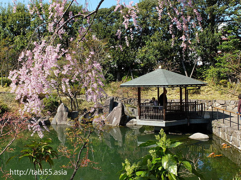 Mejiro garden｜Ikebukuro Station【West Exit】Sakura's sightseeing within walking distance