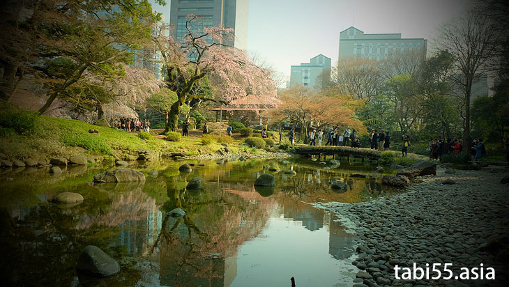 Koishikawa Korakuen Gardens(about 14 minutes by train from Ikebukuro station)