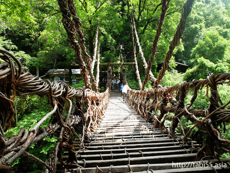 祖谷のかずら橋