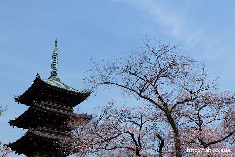 Ueno Park (about 20 minutes by train from Ikebukuro station)