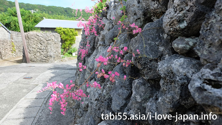 Walking around Keraji Village（Kikaijima）