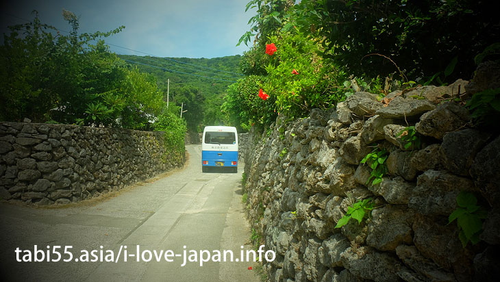 Aden coral stone wall@Travel by ferry on the Amami Islands (archipelago)【7 nights 8 days】 model course(Kagoshima)
