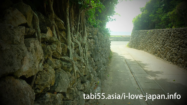 Aden coral stone wall（Kikaijima）