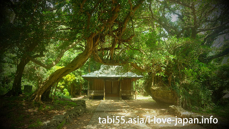 A shrine in a southern country protected by banyan and stone! Sueyoshi Shrine（Kikaijima）