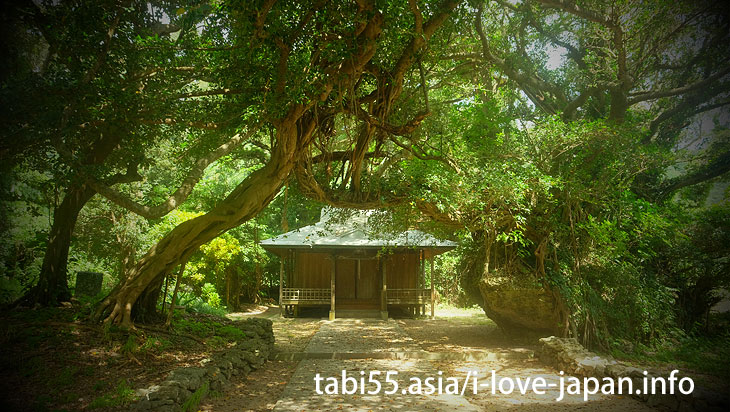 Sueyoshi Shrine@Travel by ferry on the Amami Islands (archipelago)【7 nights 8 days】 model course(Kagoshima)