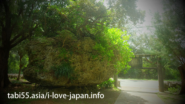 A shrine in a southern country protected by banyan and stone! Sueyoshi Shrine（Kikaijima）