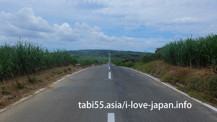 Runway to the sky@Travel by ferry on the Amami Islands (archipelago)【7 nights 8 days】 model course(Kagoshima)