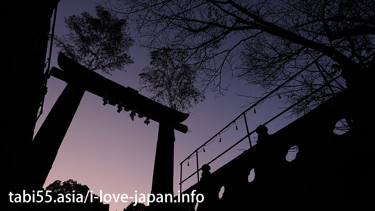 The third torii is Hizen Torii! Rebuilt in 1617｜Shinto shrine+huge camphor tree “Ohkusu”(Takeo,Saga)