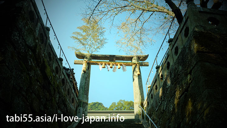 The third torii is Hizen Torii! Rebuilt in 1617｜Shinto shrine+huge camphor tree “Ohkusu”(Takeo,Saga)