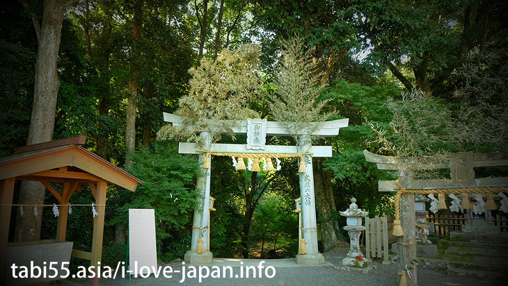 Visit the main hall and the memorial monument｜Shinto shrine+huge camphor tree “Ohkusu”(Takeo,Saga)