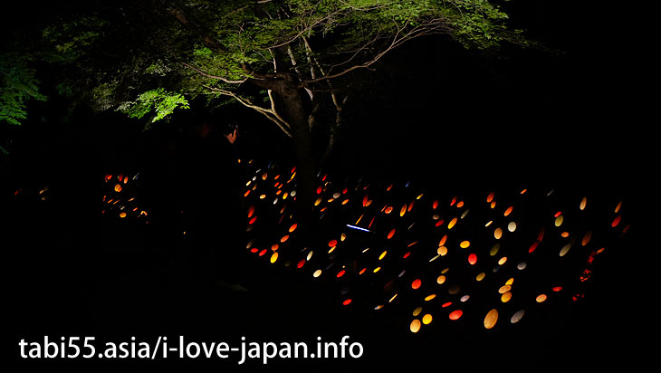 Here is also the light of bamboo.