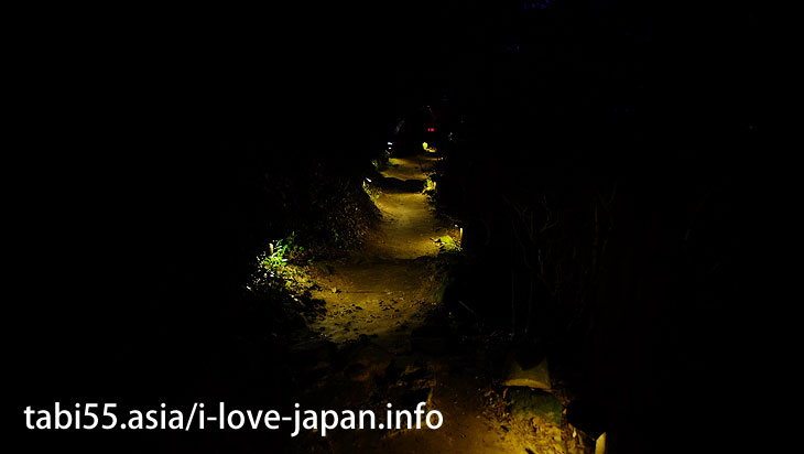 Lit up of the path