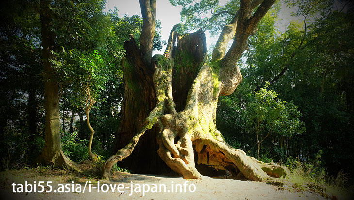 Walking distance from Takeo Onsen(Spa) Station! Tsukazaki 
