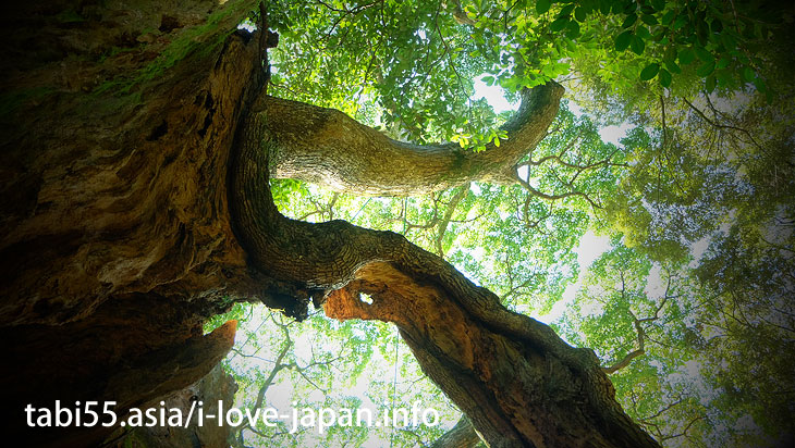 Walking distance from Takeo Onsen(Spa) Station! Tsukazaki 