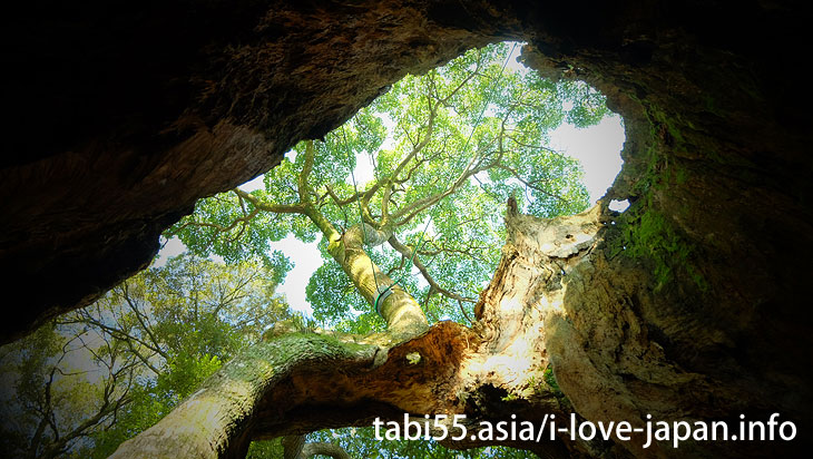 Walking distance from Takeo Onsen(Spa) Station! Tsukazaki 