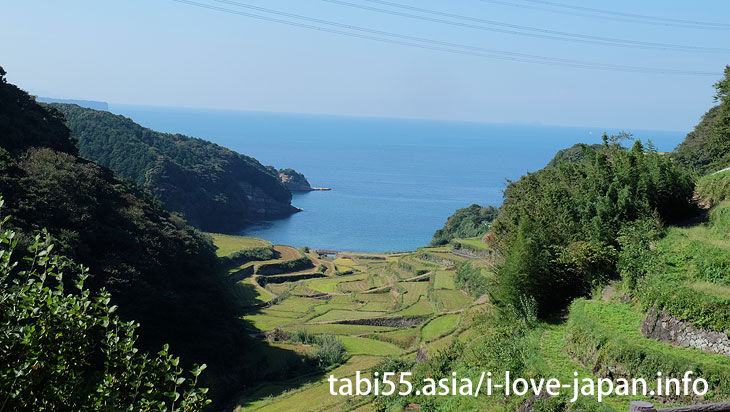 Rice terrace of Hamanoura at the end of October