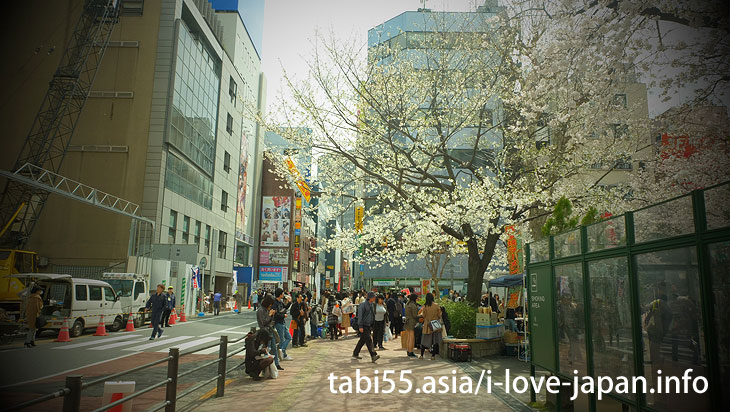 Naka Ikebukuro Park｜ Ikebukuro Station【East Exit】Sakura’s sightseeing within walking distance