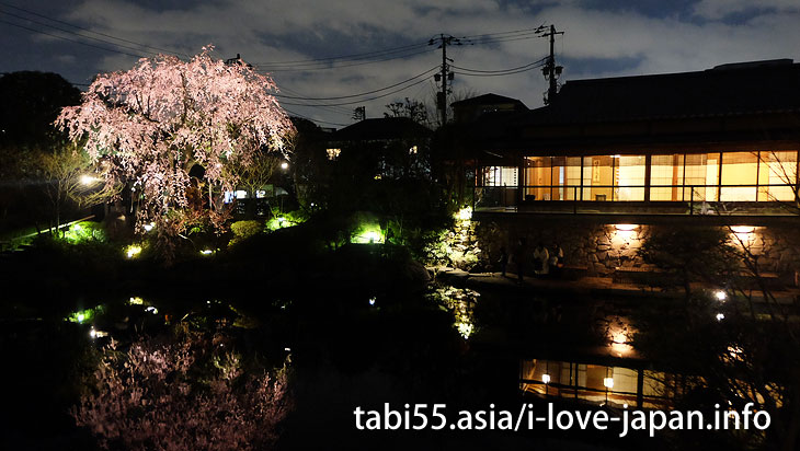 Mejiro garden｜Ikebukuro Station【West Exit】Sakura's sightseeing within walking distance