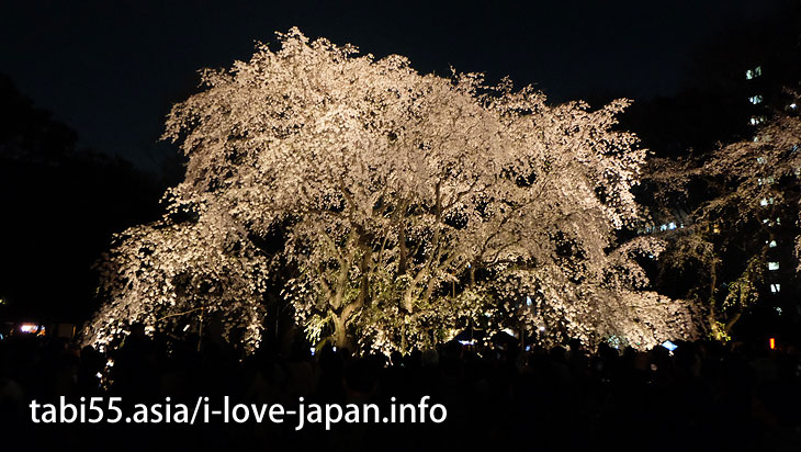 Rikugi-En Garden (about 16 minutes by train from Ikebukuro station)