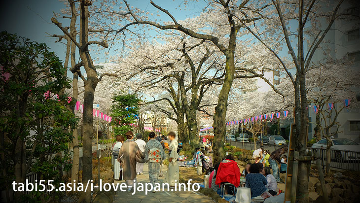 Harima Saka Sakura Namiki (13 minutes by Marunouchi line from Ikebukuro station)