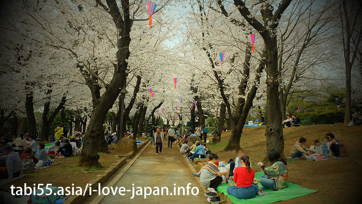 Asukayama Park (about 13 minutes by train from Ikebukuro station)