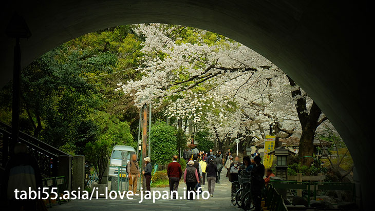 Otonashi Water Park (about 13 minutes by train from Ikebukuro station)