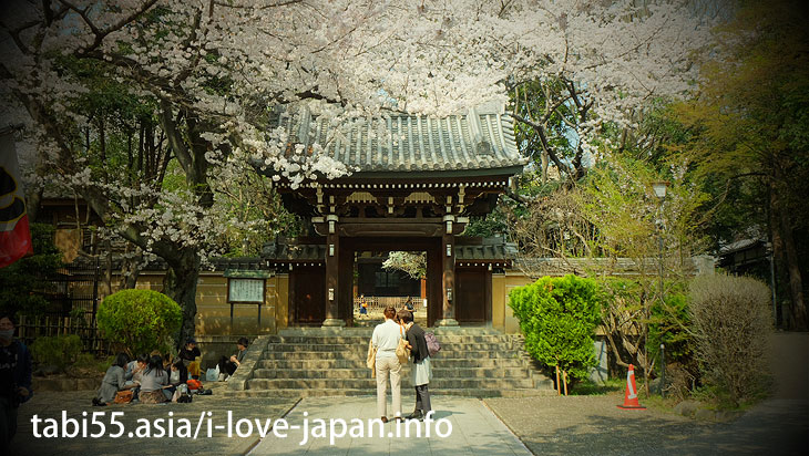Houmyo-ji Temple｜ Ikebukuro Station【East Exit】Sakura’s sightseeing within walking distance