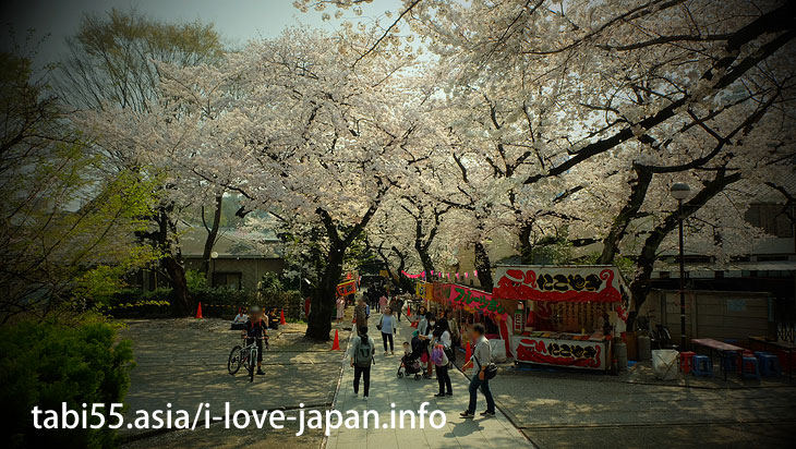 Houmyo-ji Temple ｜ Ikebukuro Station【East Exit】Sakura’s sightseeing within walking distance