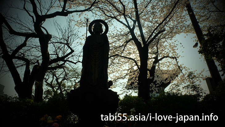 Gokokuji Temple (4 minutes by Yurakucho line from Ikebukuro station)