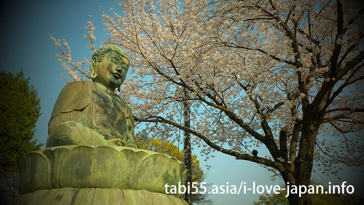 Gokokuji Temple (4 minutes by Yurakucho line from Ikebukuro station)