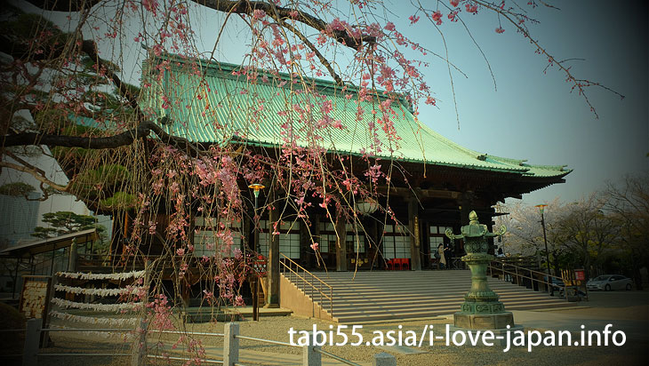 Gokokuji Temple (4 minutes by Yurakucho line from Ikebukuro station)