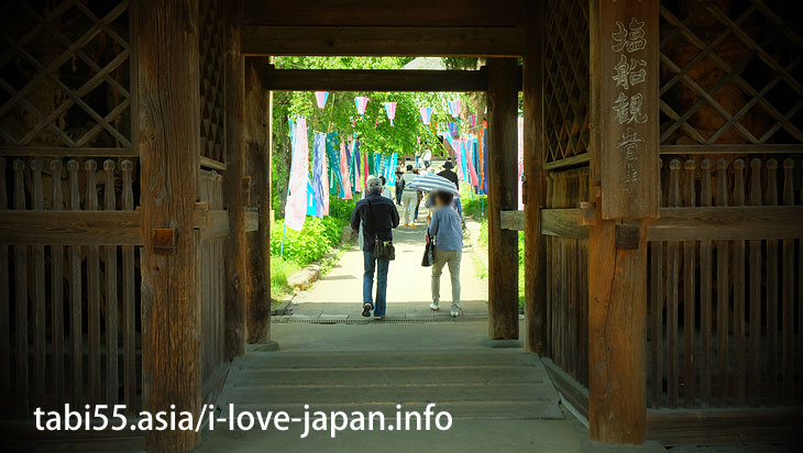 Important cultural asset of the country! The main gate of a Buddhist temple (Nio-mon)/Shiofune Kannon-ji Temple' Azaleas（Ome,Tokyo）