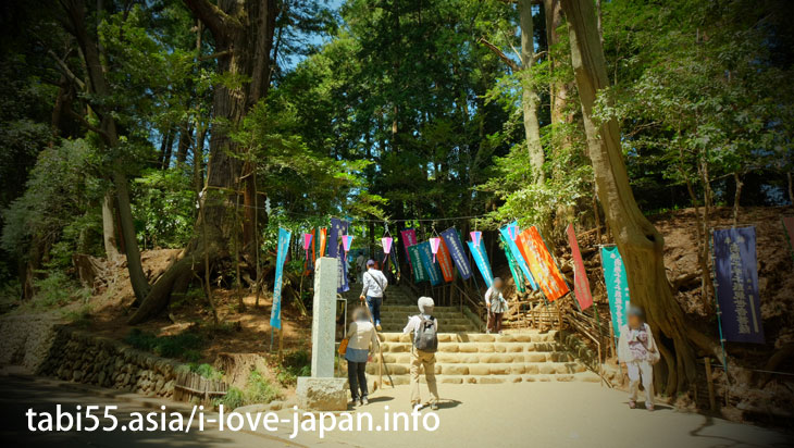 The main hall (Kannon-do) is also an important cultural property of the country/Shiofune Kannon-ji Temple' Azaleas（Ome,Tokyo）
