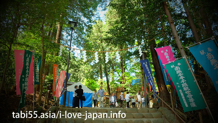 The main hall (Kannon-do) is also an important cultural property of the country/Shiofune Kannon-ji Temple' Azaleas（Ome,Tokyo）