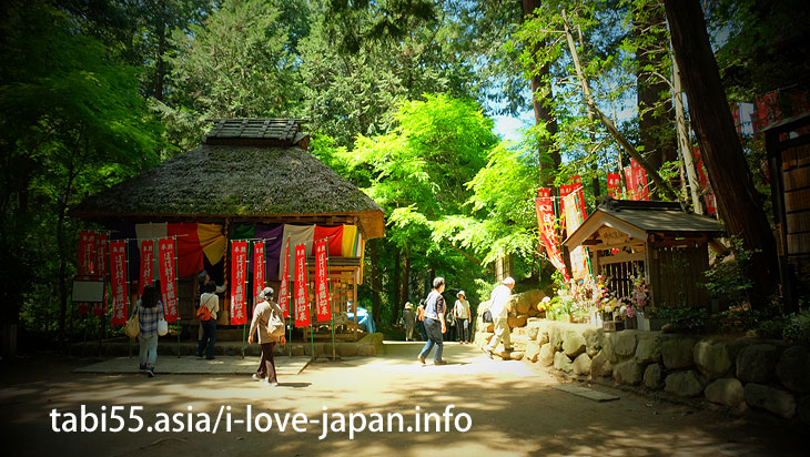 The main hall (Kannon-do) is also an important cultural property of the country/Shiofune Kannon-ji Temple' Azaleas（Ome,Tokyo）