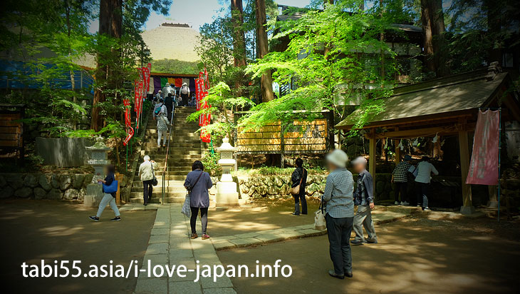 The main hall (Kannon-do) is also an important cultural property of the country/Shiofune Kannon-ji Temple' Azaleas（Ome,Tokyo）