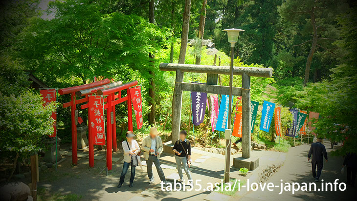 While watching the azalea, worship Kannona/Shiofune Kannon-ji Temple' Azaleas（Ome,Tokyo）