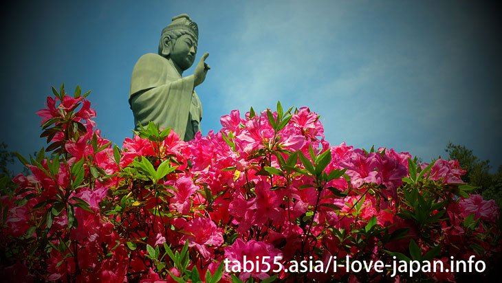 Take a walk in the azalea ♪/Shiofune Kannon-ji Temple' Azaleas（Ome,Tokyo）