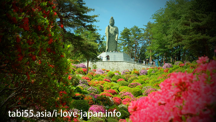 Take a walk in the azalea ♪/Shiofune Kannon-ji Temple' Azaleas（Ome,Tokyo）